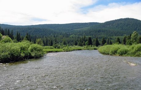 Yaak River in Northwest Montana