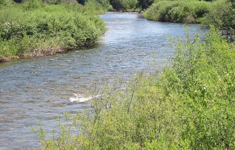 Yaak River in Northwest Montana