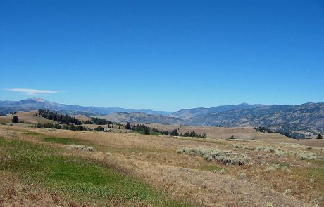 Yellowstone Blacktail Plateau