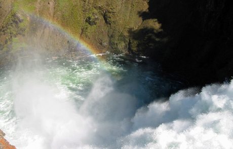 Yellowstone Brink of Falls