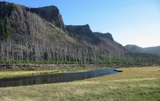 Madison River in Yellowstone National Park