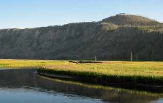 Madison River in Yellowstone National Park