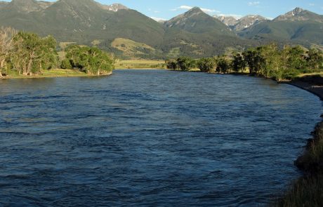 Yellowstone River at Mallard's Rest Fishing Access Site