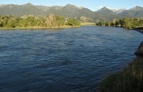 Yellowstone River at Mallard's Rest Fishing Access Site