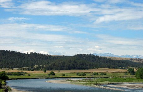 Yellowstone River near Columbus, Montana