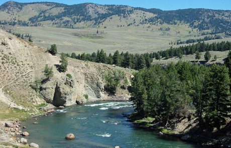 Yellowstone River in Yellowstone National Park