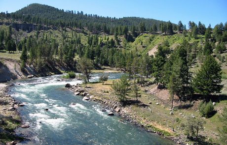 Yellowstone River in Yellowstone National Park