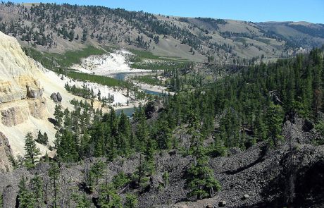 Yellowstone River in Yellowstone National Park