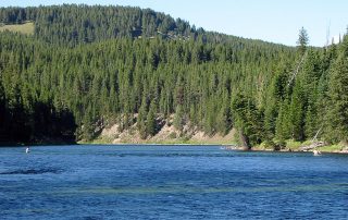 Fly Fishing the Yellowstone River