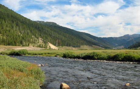 Gallatin River in Yellowstone National Park