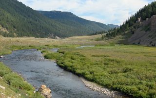 Gallatin River in Yellowstone National Park