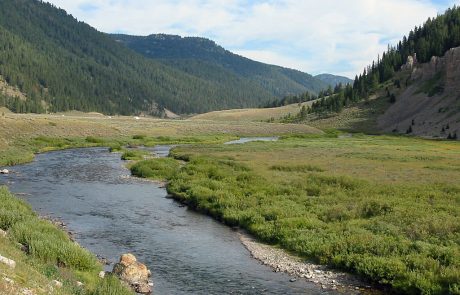 Gallatin River in Yellowstone National Park