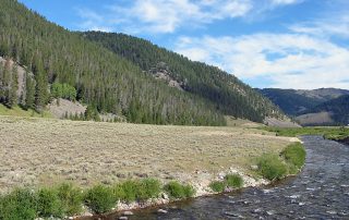 Gallatin River in Yellowstone National Park