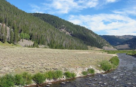 Gallatin River in Yellowstone National Park