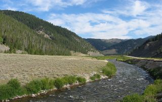 Gallatin River in Yellowstone National Park