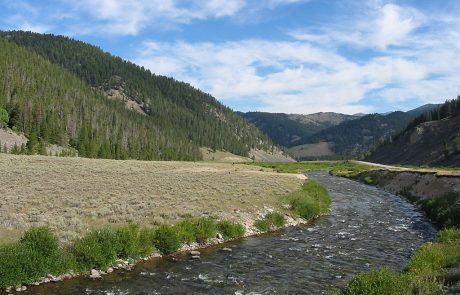 Gallatin River in Yellowstone National Park