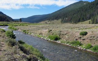 Gallatin River in Yellowstone National Park