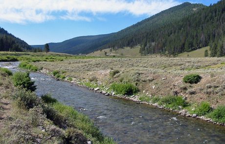 Gallatin River in Yellowstone National Park