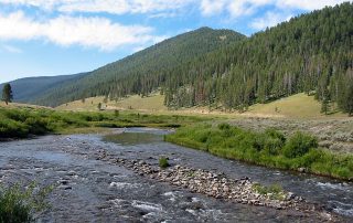 Gallatin River in Yellowstone National Park