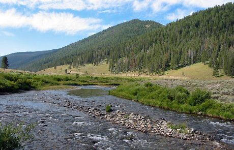 Gallatin River in Yellowstone National Park