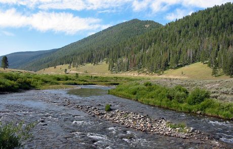 Gallatin River in Yellowstone National Park