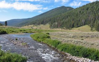 Gallatin River in Yellowstone National Park