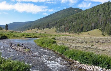 Gallatin River in Yellowstone National Park