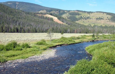 Gallatin River in Yellowstone National Park