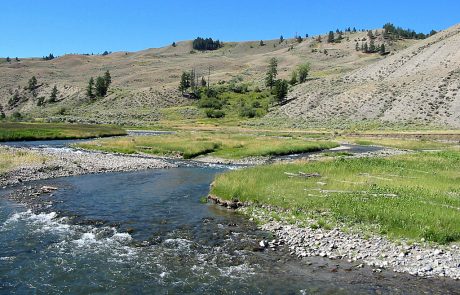 Gardner River in Yellowstone National Park