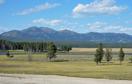 The Hayden Valley in Yellowstone National Park