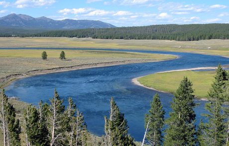 Yellowstone River in Hayden Valley of Yellowstone National Park