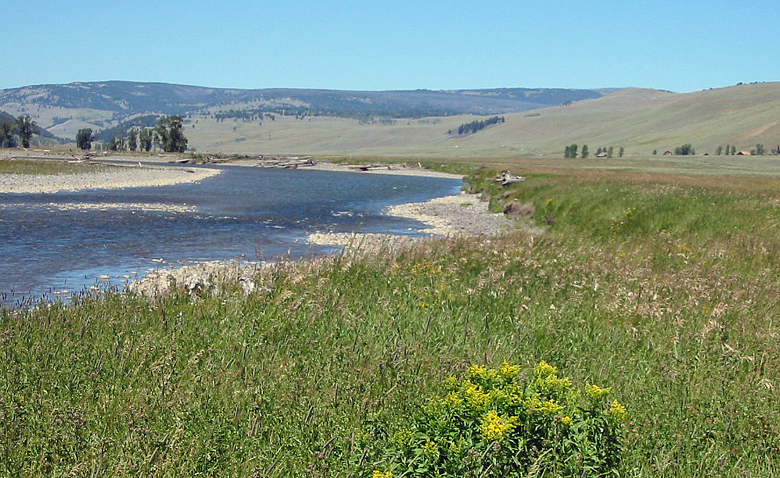 Lamar River in Yellowstone National Park