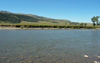 Lamar River in Yellowstone National Park