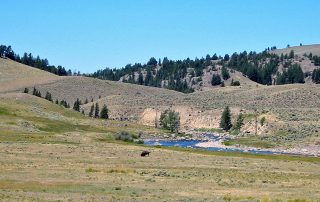 Lamar River in Yellowstone National Park