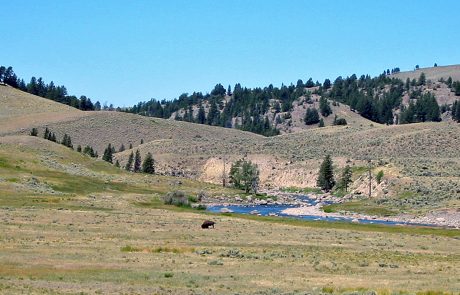 Lamar River in Yellowstone National Park