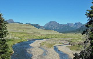 Soda Butte Creek in Yellowstone National Park