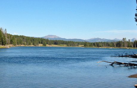 Yellowstone River in Yellowstone National Park