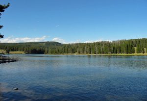 Yellowstone River in Yellowstone National Park