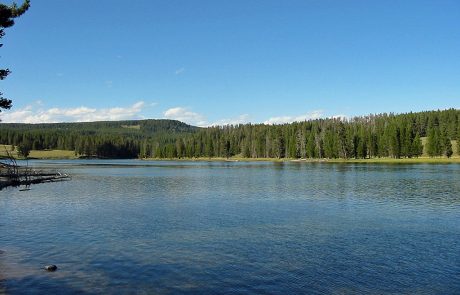 Yellowstone River in Yellowstone National Park