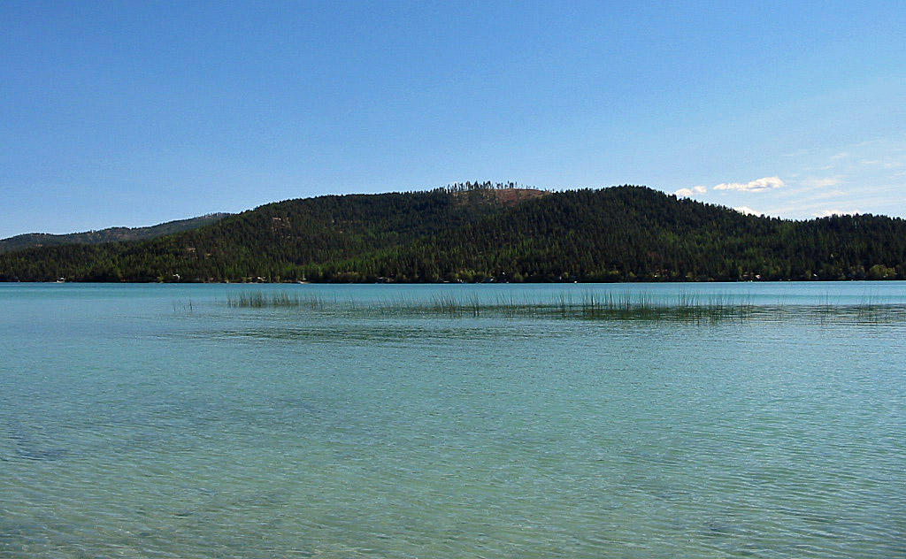 Ashley Lake in Montana Detailed Fishing Guide & Information