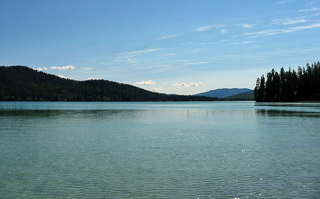 Ashley Lake in Montana Detailed Fishing Guide & Information