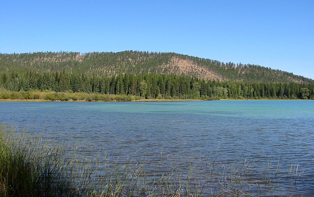 Ashley Lake in Montana Detailed Fishing Guide & Information