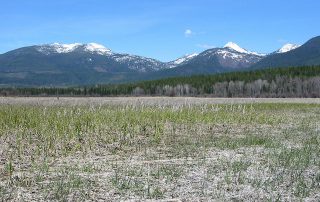 Swan River National Wildlife Refuge