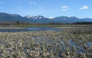 Swan River National Wildlife Refuge
