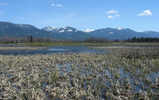 Swan River National Wildlife Refuge