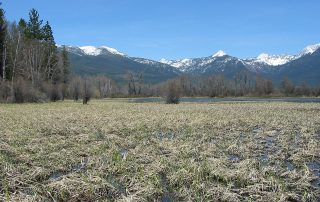 Swan River National Wildlife Refuge