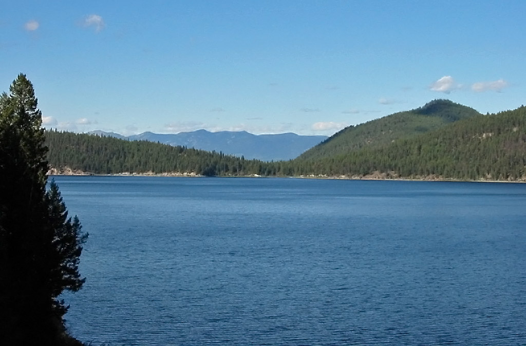 tally lake in northwest montana detailed fishing guide