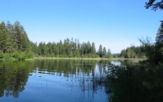 Thompson Lake